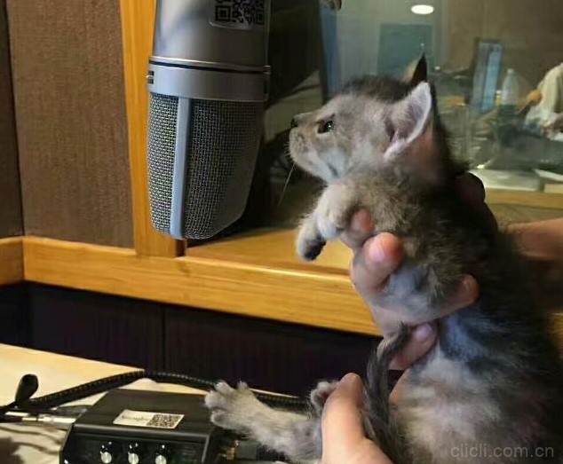 《口水三国》迎3岁生日！三年沉淀蓄势待发